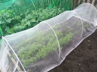 Filet anti-insectes en serre