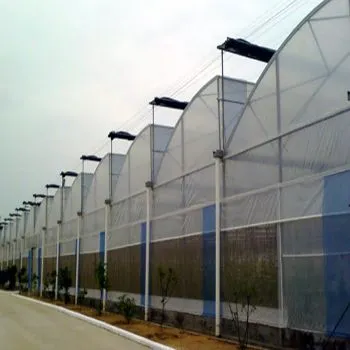 Serre à film de toit en scie